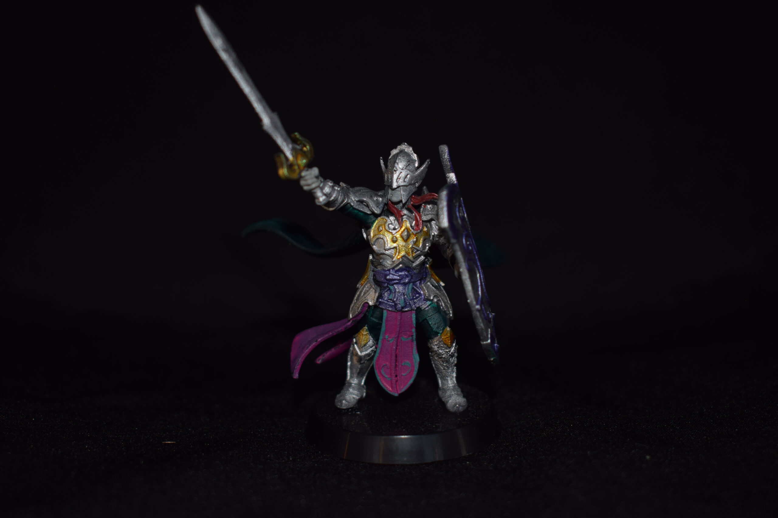 Heavy Armor Paladin