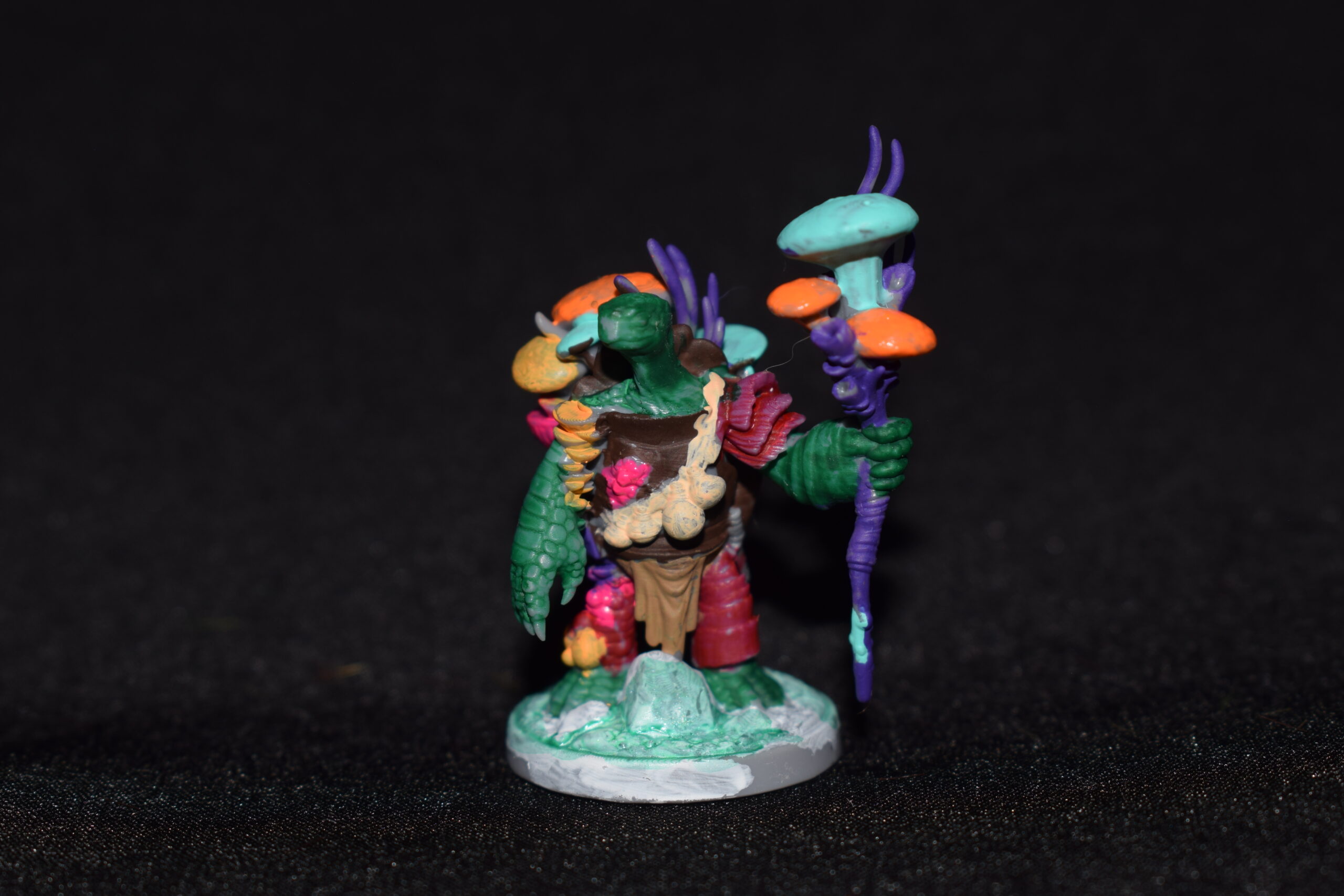Tortle Druid