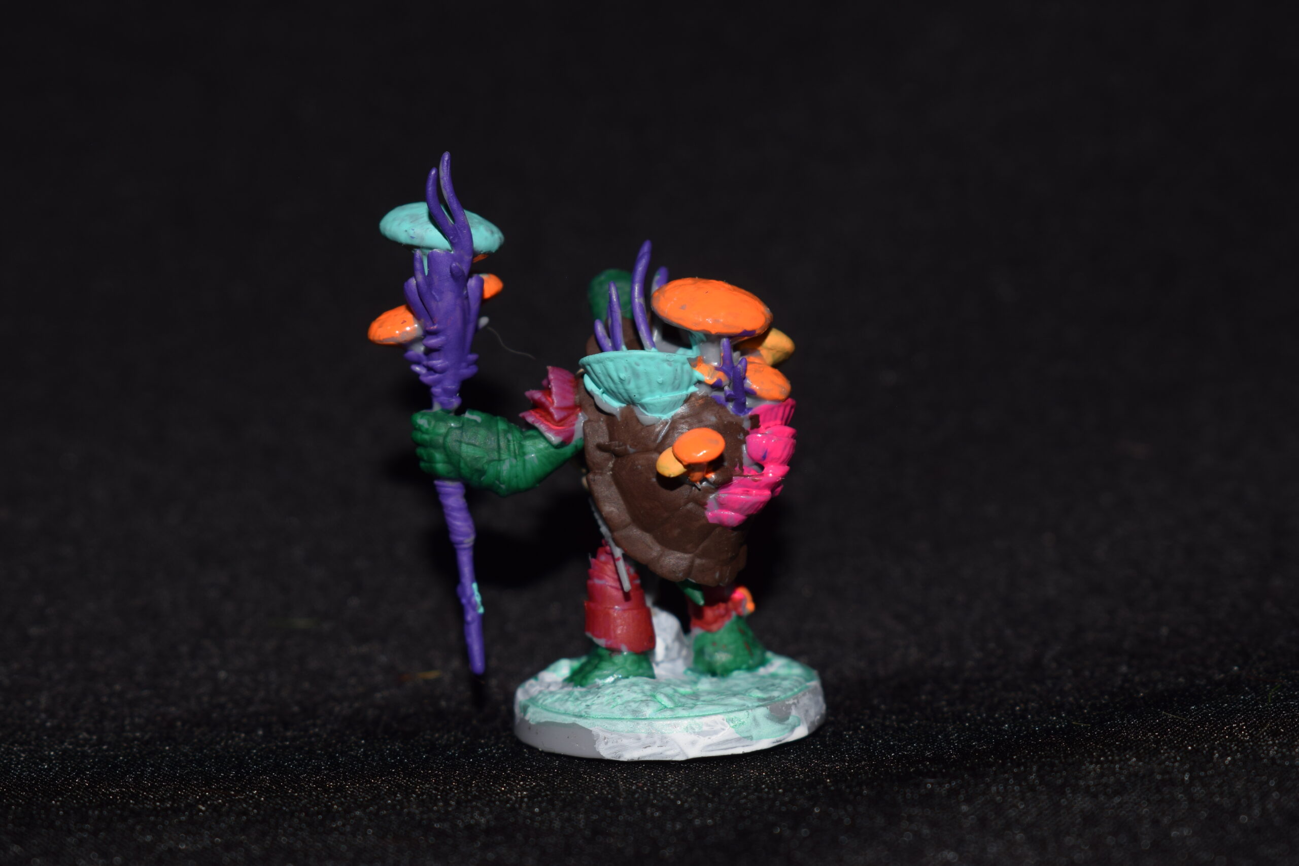 Tortle Druid