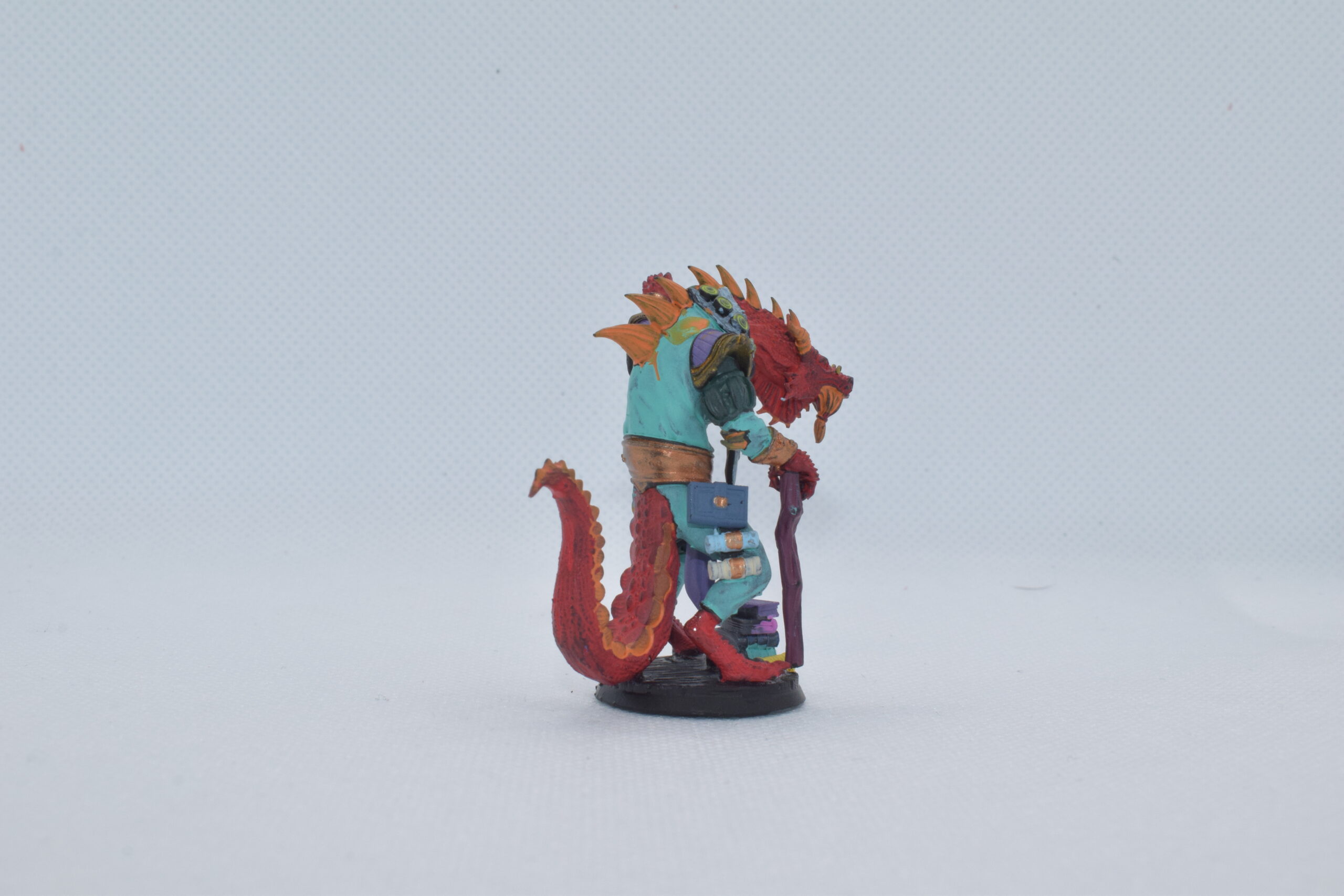 Dragonborn Scholar